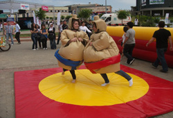 Sumo Güreşi Şişme Oyun Parkı
